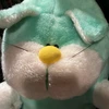 ねこむー