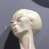 てふてふ