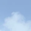 春