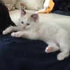 まさ