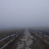 ぶんぶく