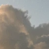 エビ