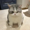 haruka