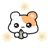 きぁら