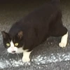 脳みそファンタジー