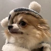 nanami_onepiece
