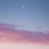 daydream