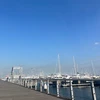 14___ma