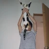 せぐうぇい