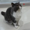 なぎさ