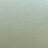 水