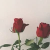ノヌ