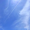 レオン