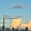 小枝