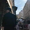 藤