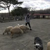 理久