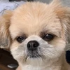 LOVE無限大