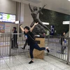 かずとし