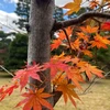 三城