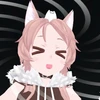 シャム猫