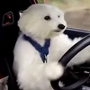 死生観