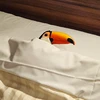 コイヌマ