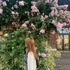 ぽん