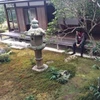 たいのしん