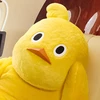 なまもの