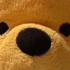 うりぼう