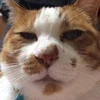 まえだ