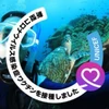 となのすけ