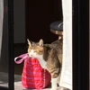 ほ