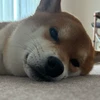 璃久