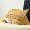 みきちぃ