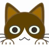 わたる