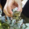 こうたろう