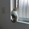 tiny