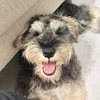 とみざわ