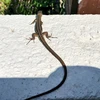 まる