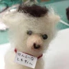 Tomoya