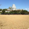 港町のハービーピーカー