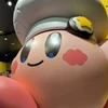 しょーこ
