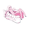 おこめ