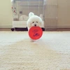 ひなた