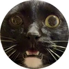 ふじわら