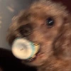 mm00