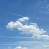 やさしさ