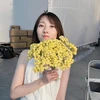 のさん