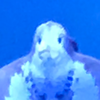ほがそら凜